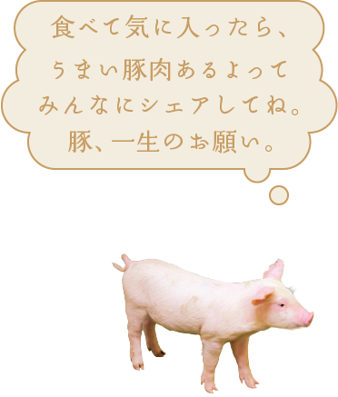 食べて気に入ったら、うまい豚肉あるよってみんなにシェアしてね。豚、一生のお願い。