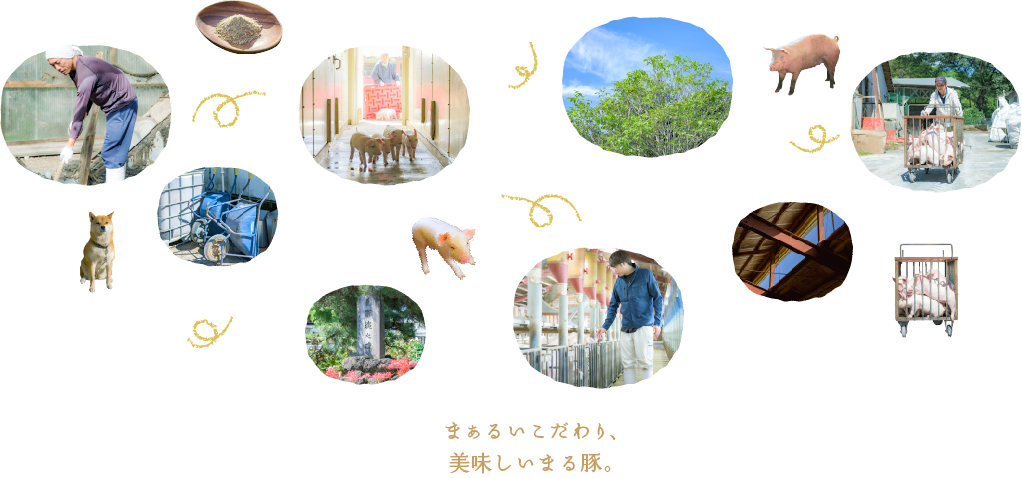 まぁるいこだわり、美味しいまる豚。